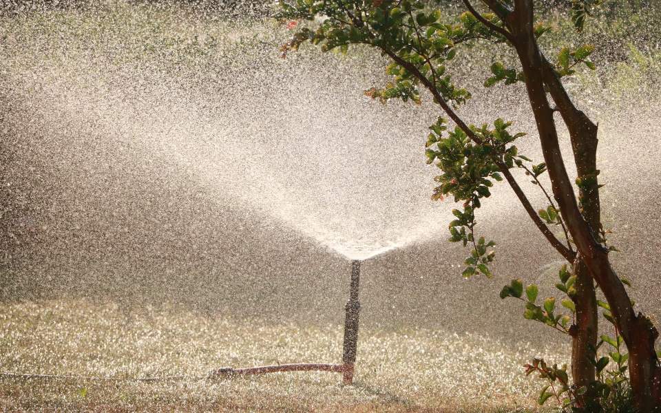Gartensprinkler neben Baum