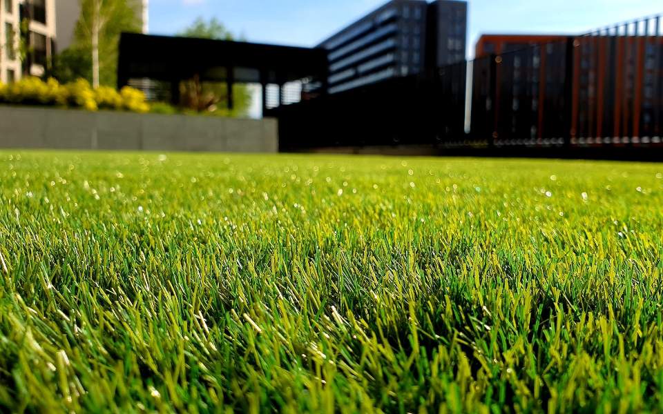 grünes Grasfeld