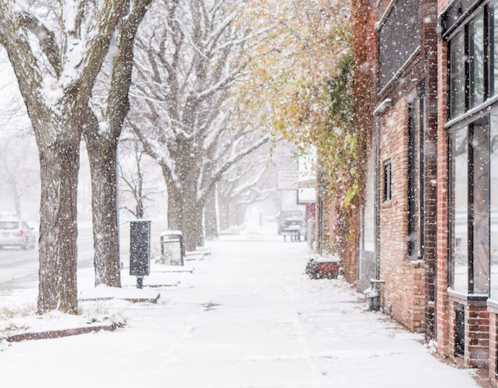 Reil-Service Winterdienst- Neustadt am Rübenberge. JPG Schneebedeckte Straße mit Bäumen und Geschäften im Winter.